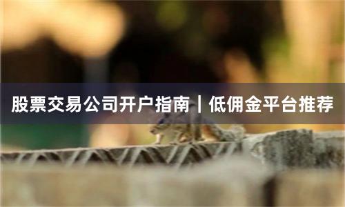 股票交易公司开户指南｜低佣金平台推荐